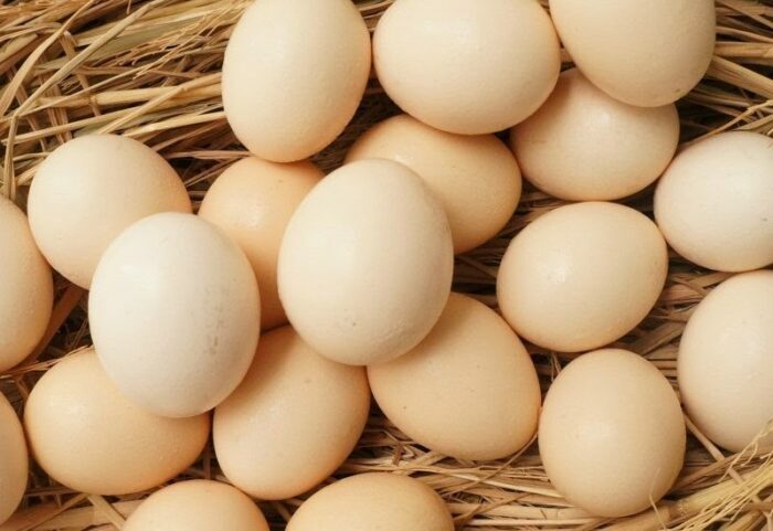 Chiêm bao và thấy nhặt được trứng gà đánh con gì để ăn đậm?